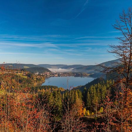 Fewo Schwarzwaldstern 2, Todtnau, 4 Schlafzimmer Екстериор снимка