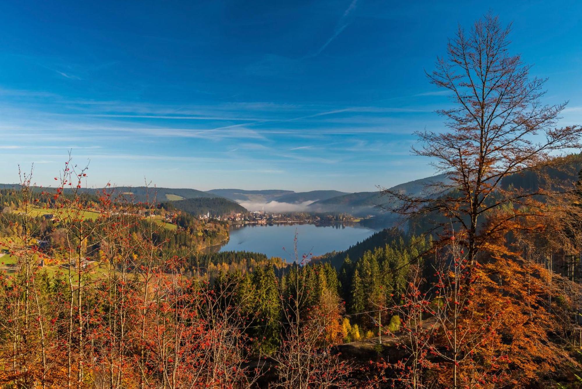Fewo Schwarzwaldstern 2, Todtnau, 4 Schlafzimmer Екстериор снимка
